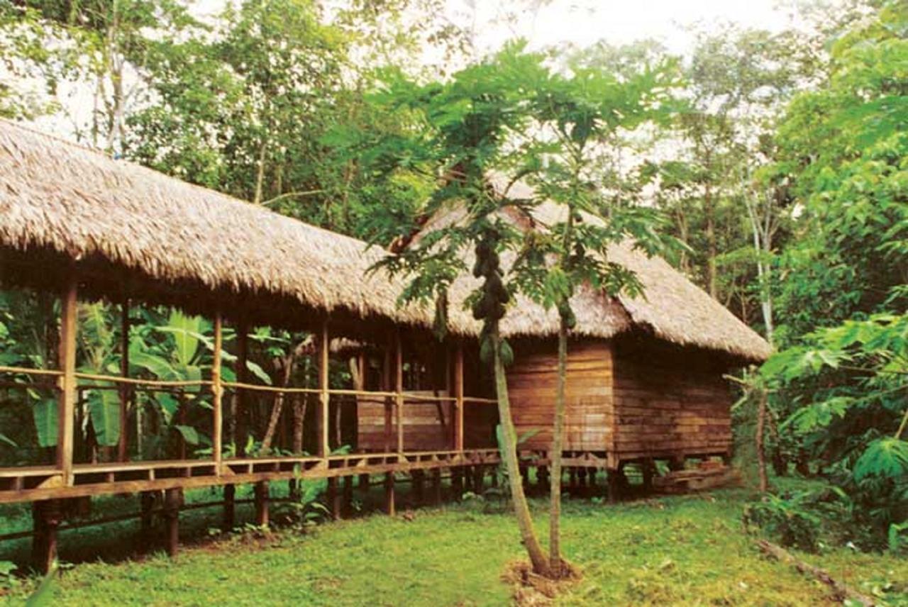 Inotawa Tambopata